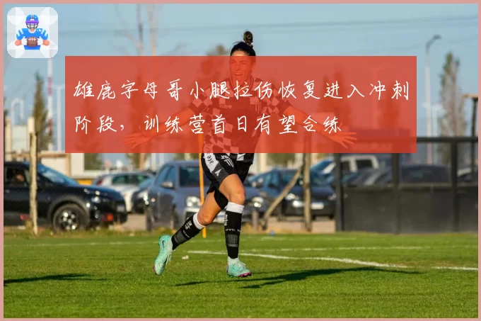 雄鹿字母哥小腿拉伤恢复进入冲刺阶段,训练营首日有望合练