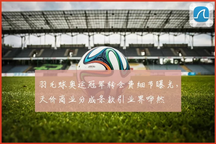 羽毛球奥运冠军转会费细节曝光，天价商业分成条款引业界哗然