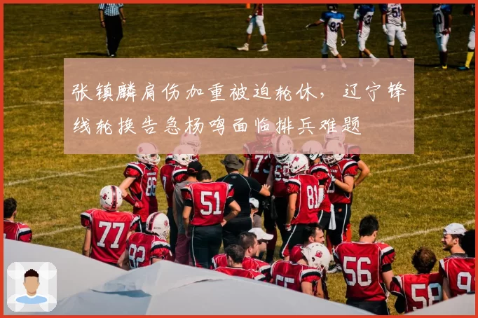 张镇麟肩伤加重被迫轮休,辽宁锋线轮换告急杨鸣面临排兵难题