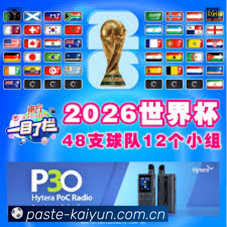 开云平台展示图